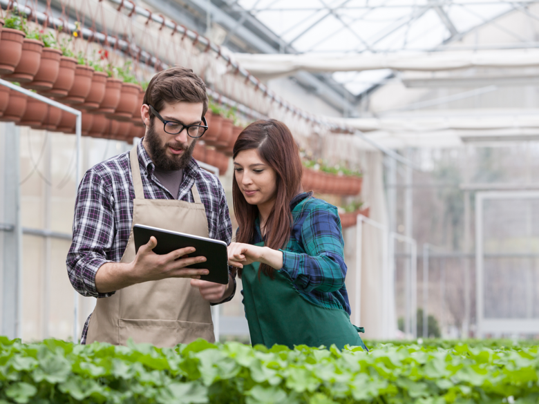 Berufliche Ausbildung